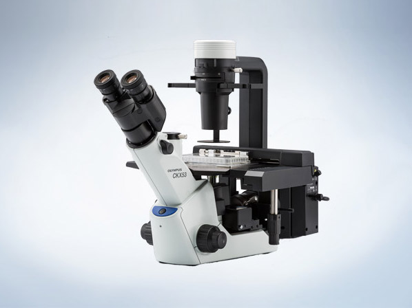 知识问答标题知识问答标题知识问答标题